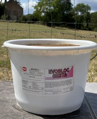 Image de EVOBLOC GESTA
