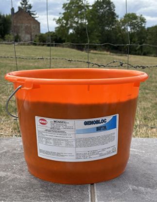 Image de GENOBLOC BETA