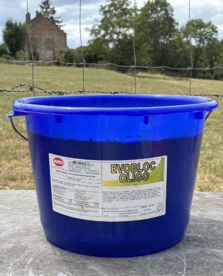 Image de EVOBLOC OLIGO