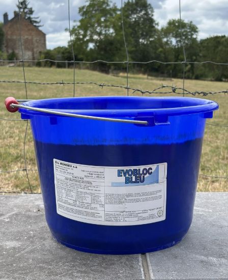 Image de EVOBLOC BLEU