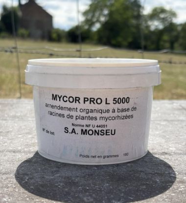 Image de MYCOR PRO