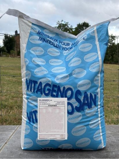 Image de EVOGENOR