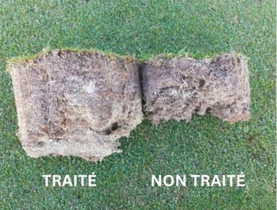 Image de MYCOSEM