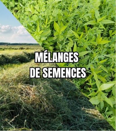 Image de la catégorie MELANGE SEMENCE