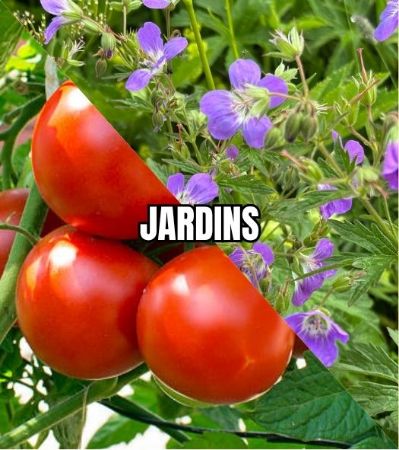 Image de la catégorie JARDINS