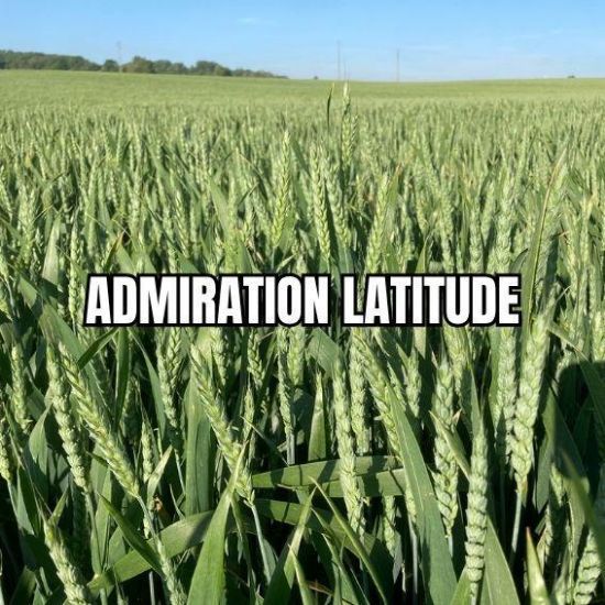 Image de ADMIRATION LAT