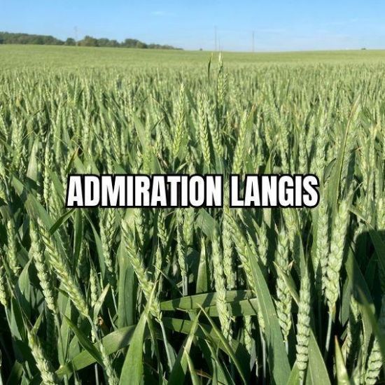 Image de ADMIRATION LAN