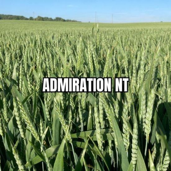 Image de ADMIRATION NT