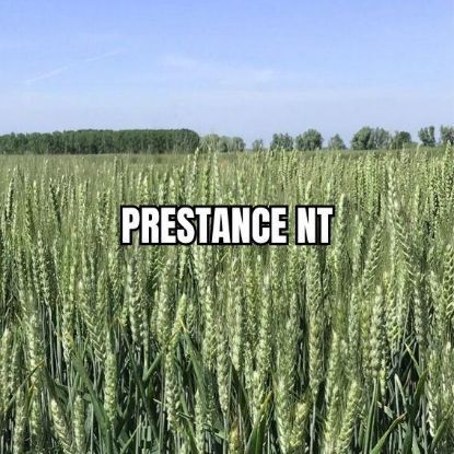 Image de PRESTANCE NT