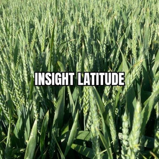 Image de INSIGHT LAT