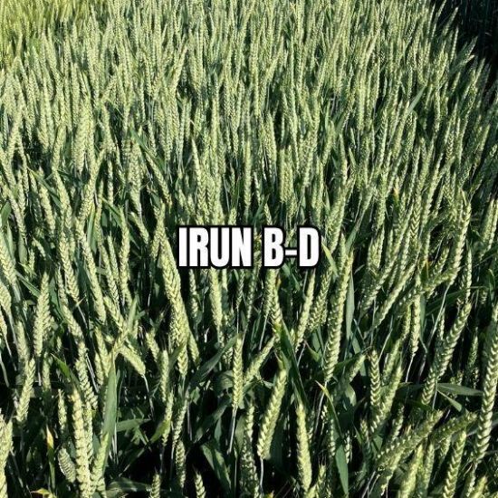 Image de IRUN B-D