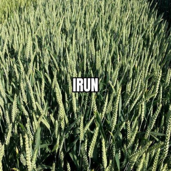Image de IRUN DOSE
