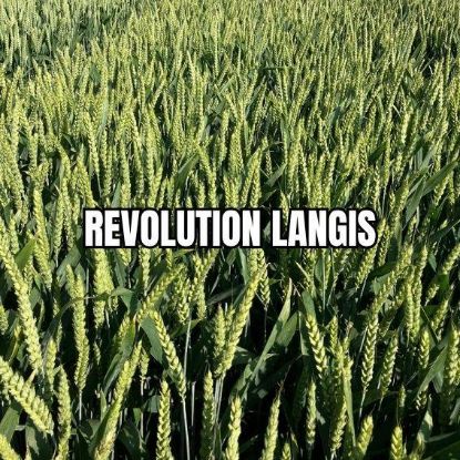 Image de REVOLUTION LAN