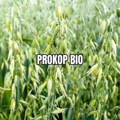 Image de PROKOP BIO