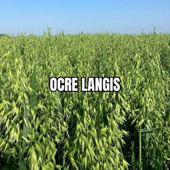 Image de OCRE LAN