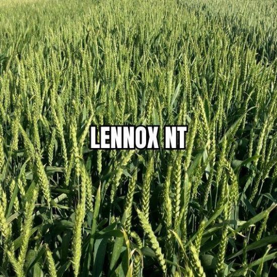 Image de LENNOX NT