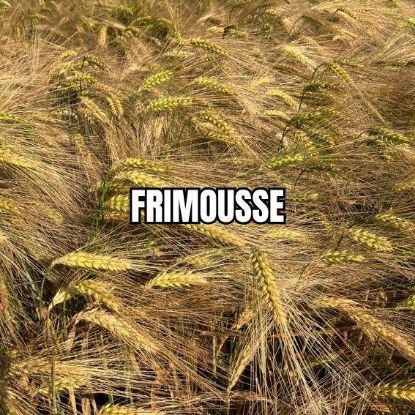 Image de FRIMOUSSE BB