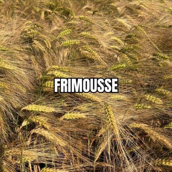 Image de FRIMOUSSE