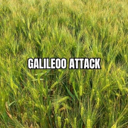 Image de GALILEOO ATTACK