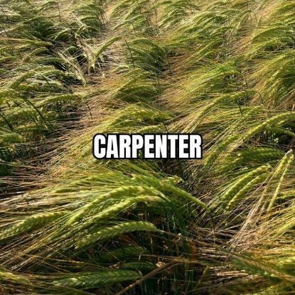 Image de CARPENTER