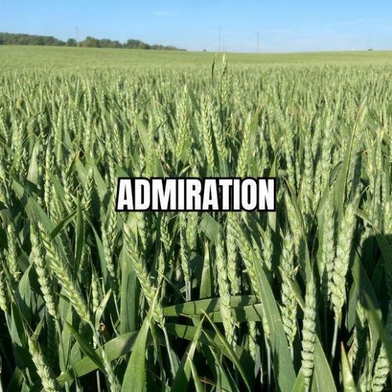 Image de ADMIRATION