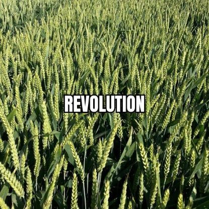 Image de REVOLUTION