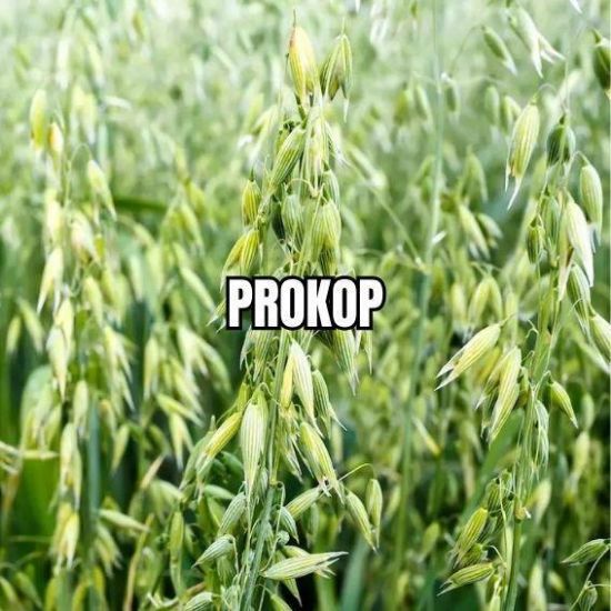Image de PROKOP