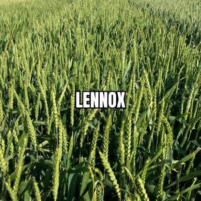 Image de LENNOX