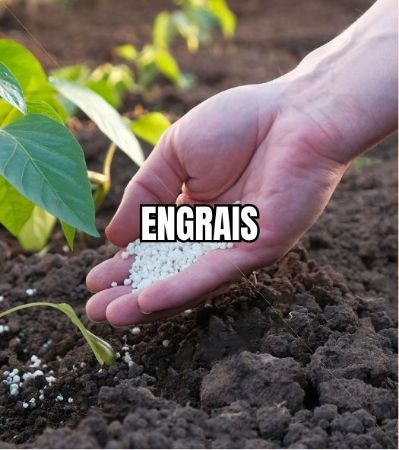 Image de la catégorie ENGRAIS