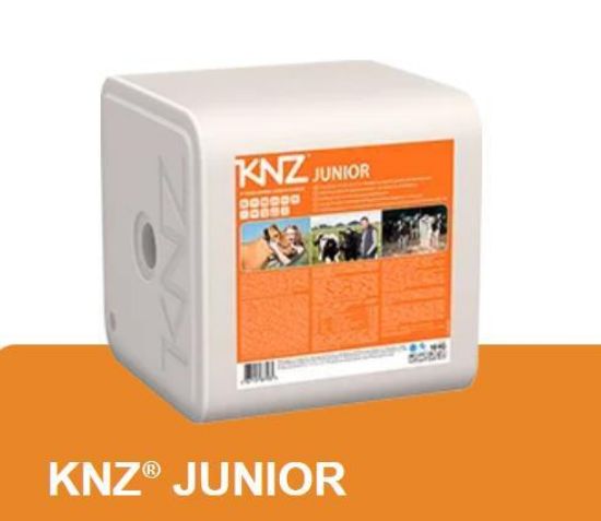 Image de KNZ JUNIOR