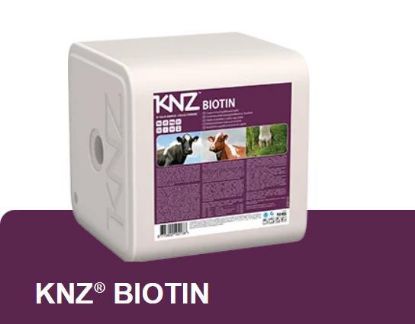 Image de KNZ BIOTINE
