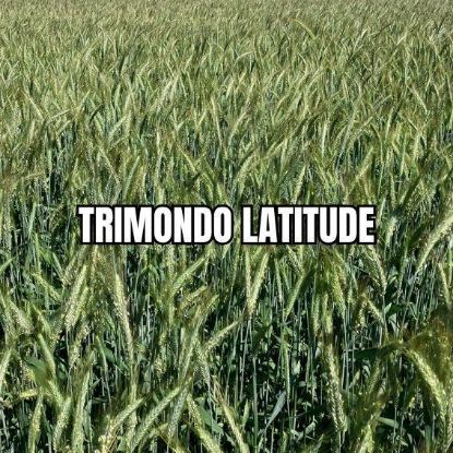 Image de TRIMONDO LAT