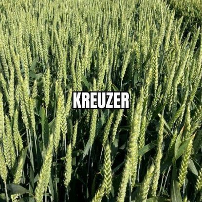 Image de KREUZER