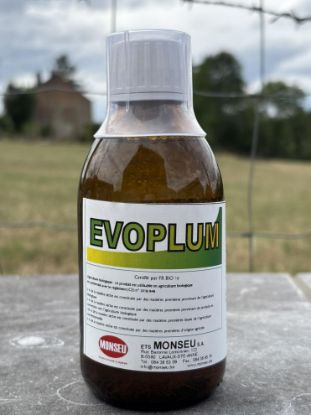 Image de EVOPLUM 250 ML