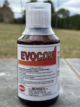 Image de EVOCOX