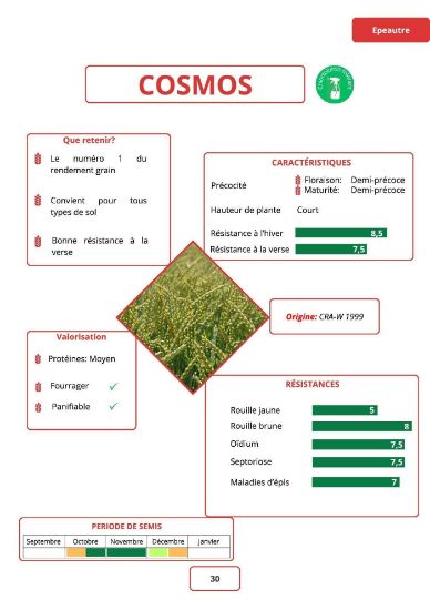 Image de COSMOS LAT
