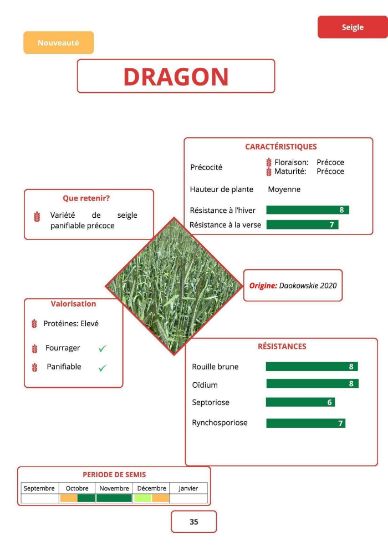 Image de DRAGON