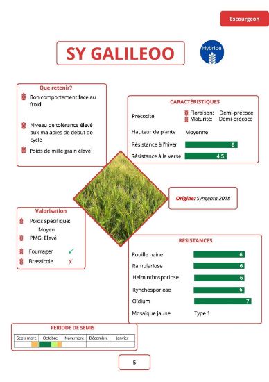 Image de GALILEOO