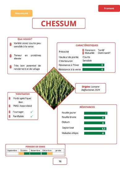 Image de CHESSUM