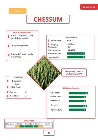 Image de CHESSUM
