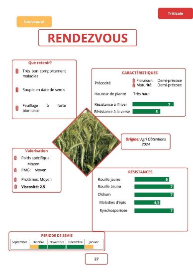 Image de RENDEZVOUS B-D
