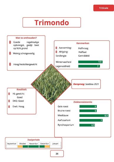 Image de TRIMONDO LAT