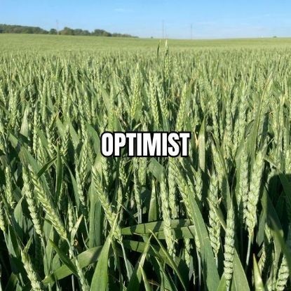 Image de OPTIMIST