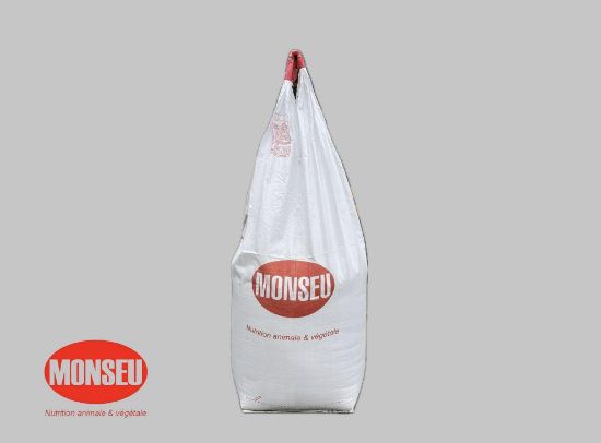 Image de SEL DENEIGEMENT BB