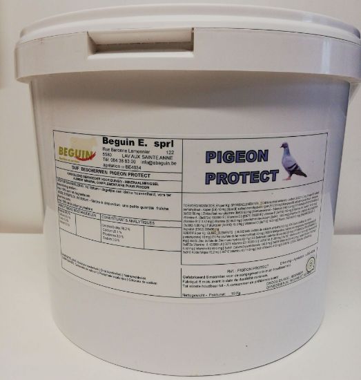 Image de PIGEON PROTECT