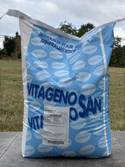 Image de ACTIVORUMEN