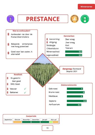 Image de PRESTANCE BB