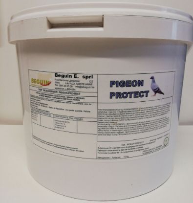 Image de PIGEON PROTECT