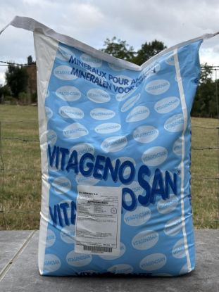 Image de ACTIVORUMEN