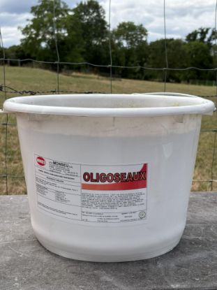 Image de OLIGOSEAUX